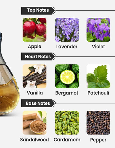 Detour Noir - 3.33oz EDP Detour Noir - 3.33oz EDP