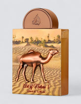 Pride Art of Nature I - 100ml EDP