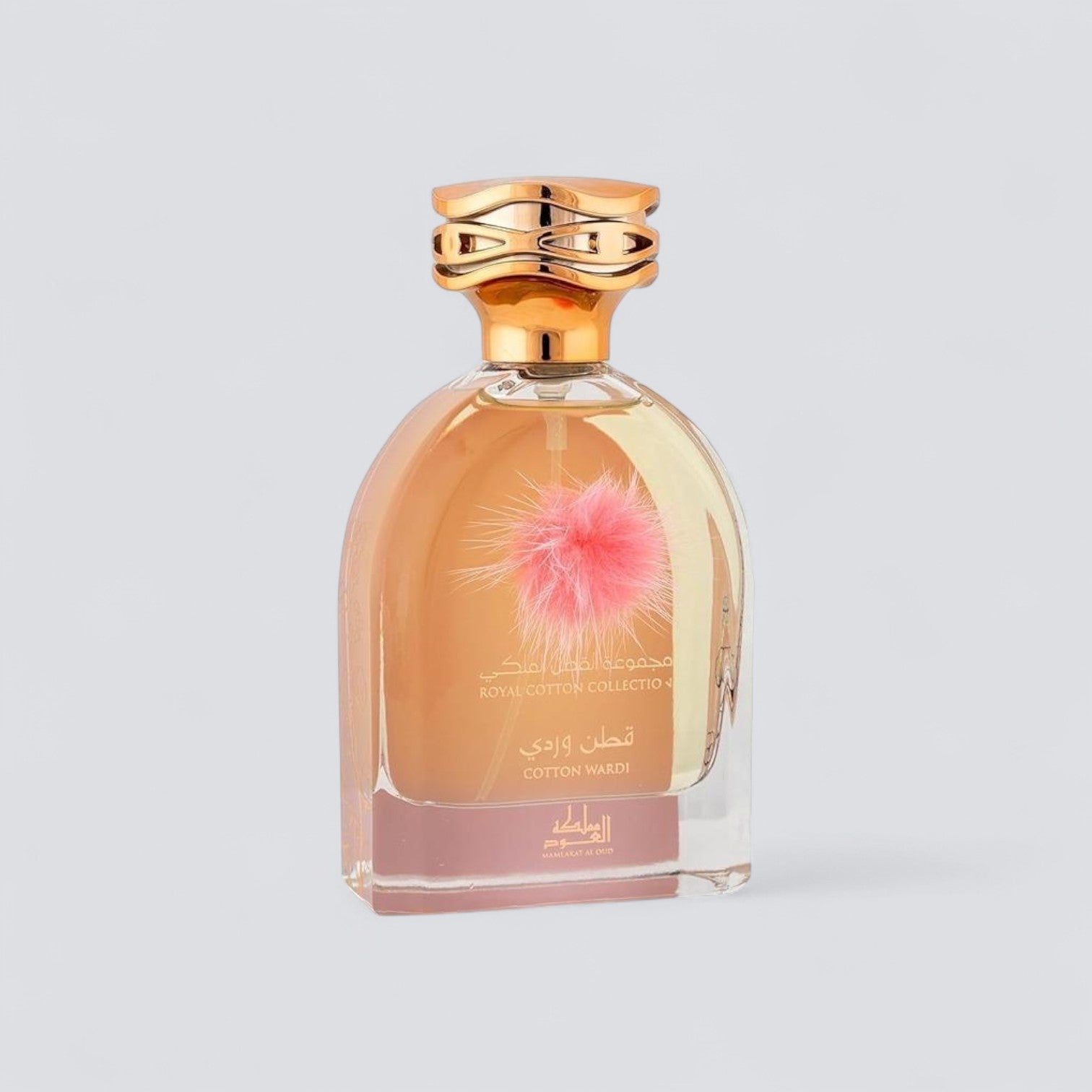 Cotton Wardi - 100ml EDP