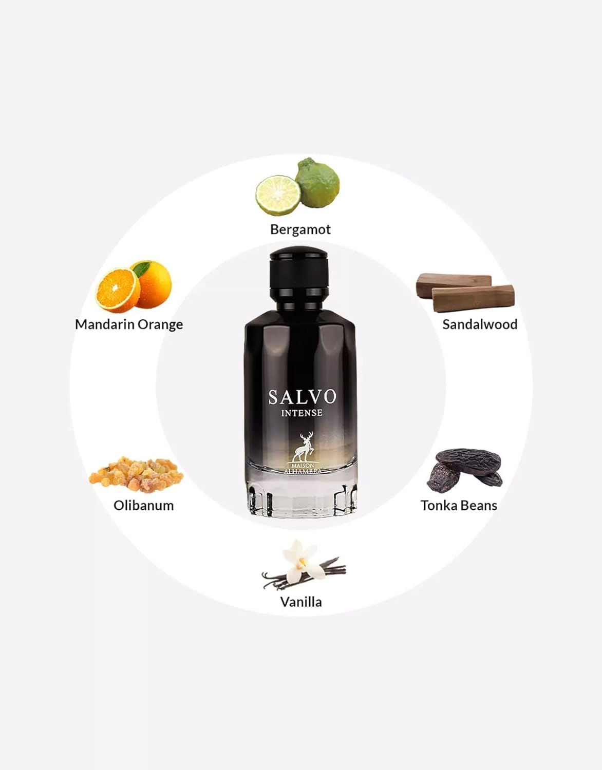 Salvo Intense - 100ml EDP